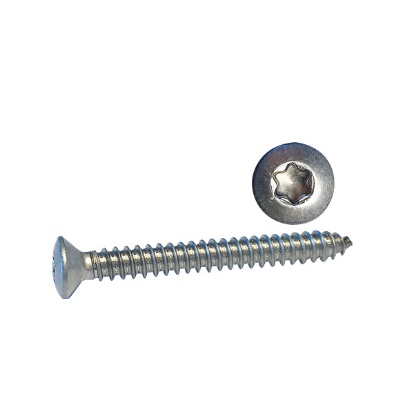 Selvskærende skrue Linsehoved Torx kærv TX15 3,5x16 A4 ISO14587 12 stk